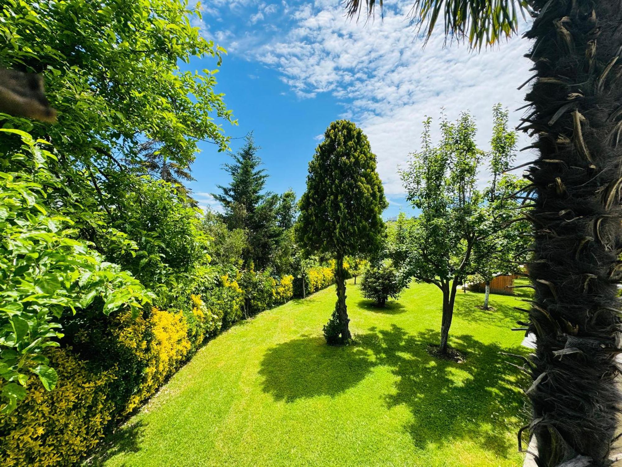 Treekos Suite Hotel Istanbul Airport Arnavutkoy Esterno foto