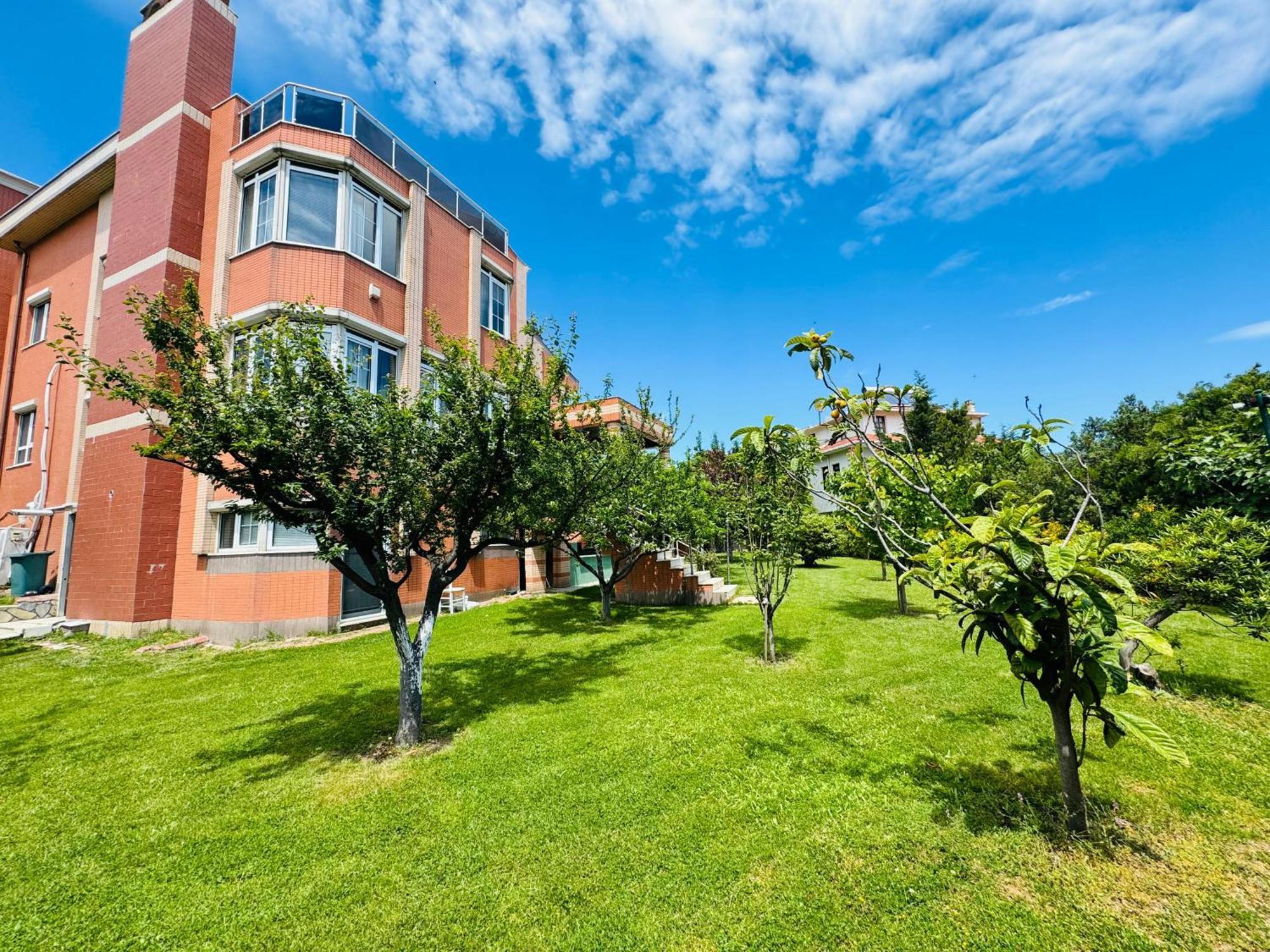 Treekos Suite Hotel Istanbul Airport Arnavutkoy Esterno foto